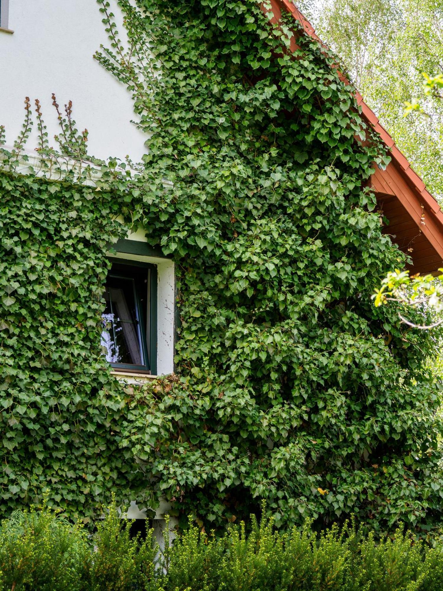 Plonica 1 Hotel Złoty Stok Buitenkant foto