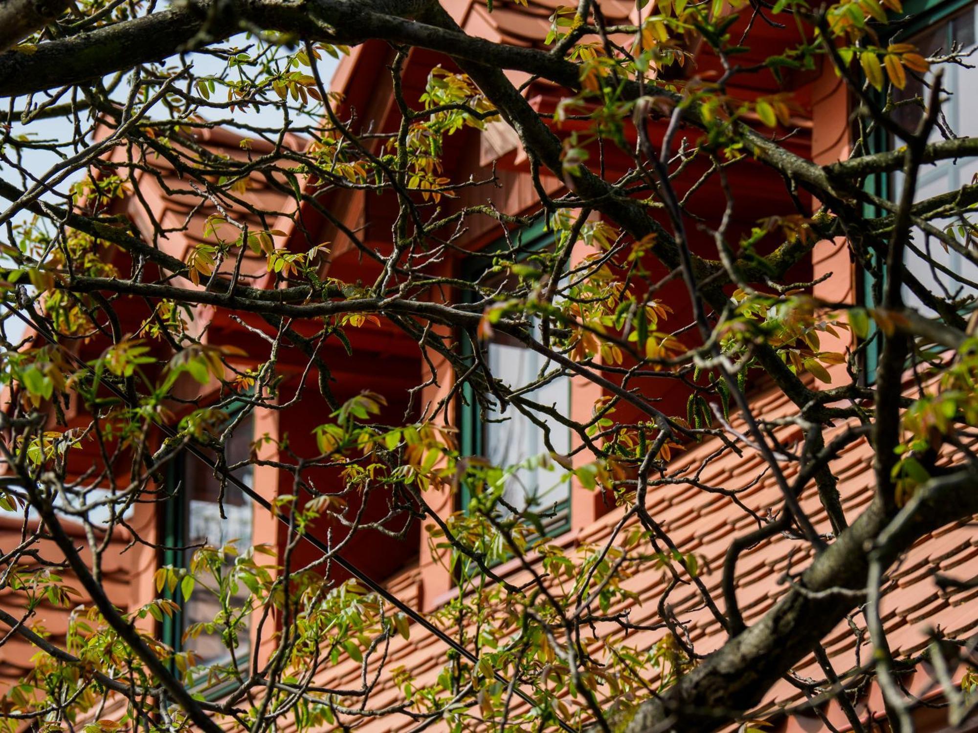 Plonica 1 Hotel Złoty Stok Buitenkant foto
